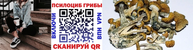 Галлюциногенные грибы Magic Shrooms  Александровское 